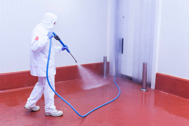 Best Warehouse Cleaning  in Coleraine, MN