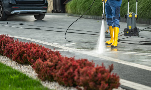 Best Patio and Deck Pressure Washing  in Coleraine, MN